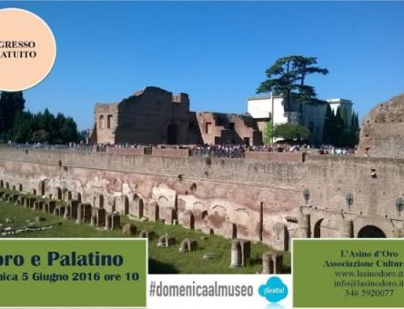 Visita Guidata al Palatino e Foro Romano