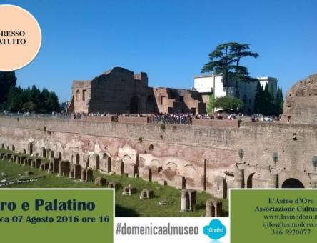 Visita Guidata al Palatino e Foro Romano