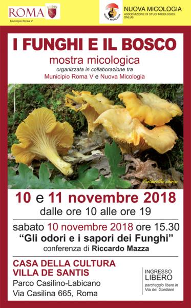 XVII edizione della mostra “I funghi e il bosco - visite guidate nel mondo dei funghi”