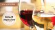 Officina Birra presenta la serata “Wine & Food”