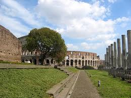Visita guidata del Campidoglio, Fori Imperiali e Valle del Colosseo