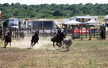 Festa della Merca - Roccaccia 2014