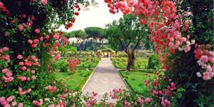 L’Aventino e il roseto comunale
