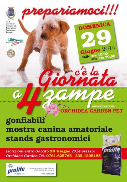 Giornata a 4 zampe