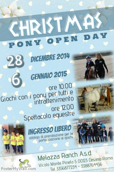 CHRISTMAS PONY OPEN DAY