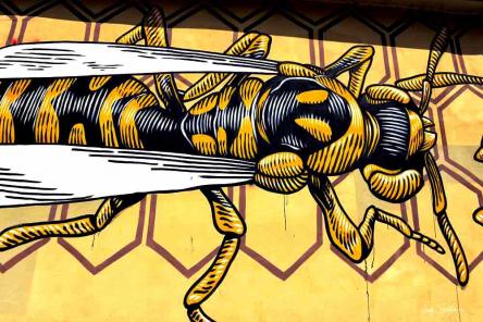 IL MU.RO. : URBAN ART AL QUADRARO