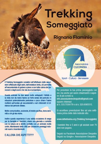 Trekking Someggiato