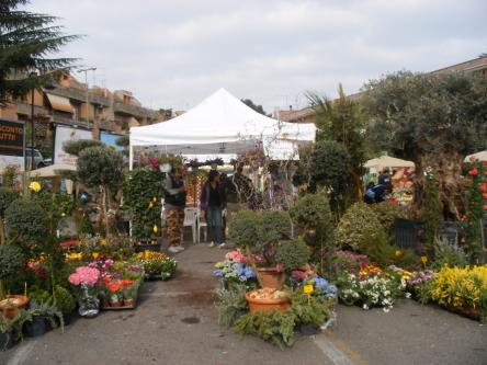 tor lupara in fiore