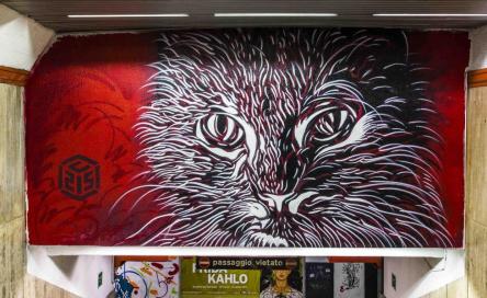 AVANGUARDIE URBANE ALLA METRO SPAGNA