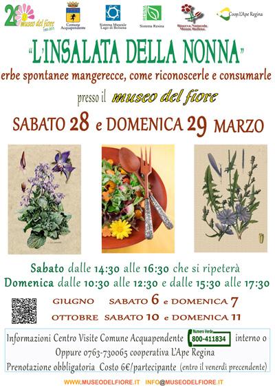 L’insalata della nonna