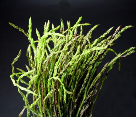 Sagra degli Asparagi selvatici e degli arrosticini