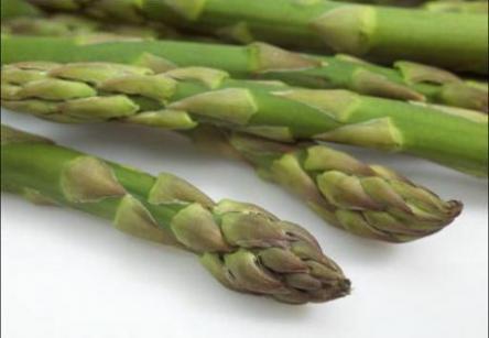 L'asparago verde di Montalto di Castro, fa festa in sagra