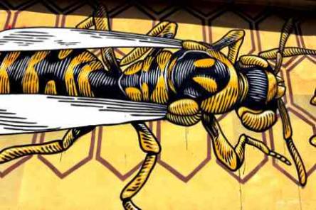 IL MU.RO. : URBAN ART AL QUADRARO
