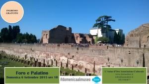 Visita Guidata al Palatino e Foro Romano