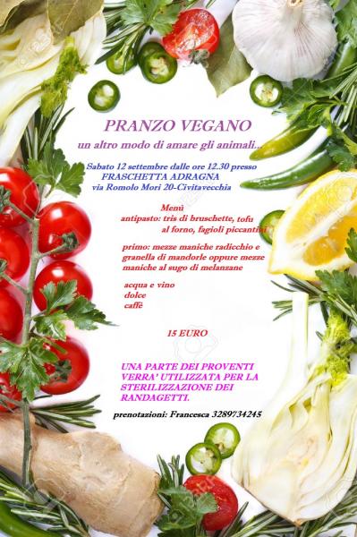 pranzo vegano