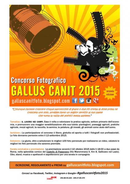 Gallus Canit Foto 2015