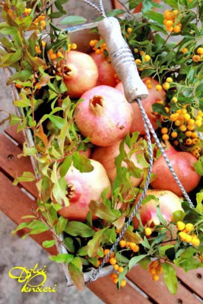 I segreti del bosco e del giardino in autunno
