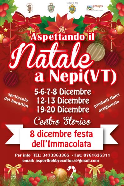ASPETTANDO IL NATALE..