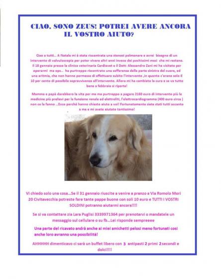 TUTTI A PRANZO PER ZEUS E NON SOLO...