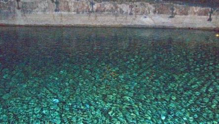 La sala dei 100 Giorni del Vasari e il Lago Sotterraneo di Palazzo della Cancelleria