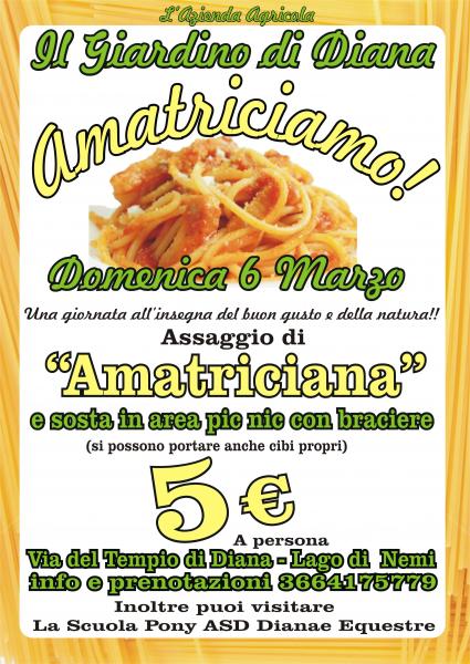 AMATRICIAMO
