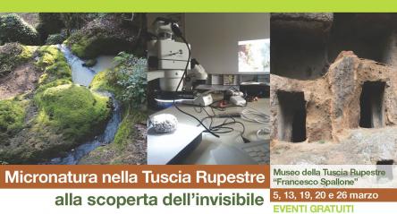 Alla scoperta dell'invisibile