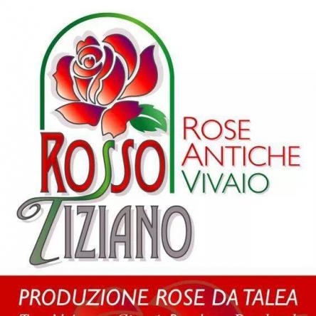 2 festa delle rose