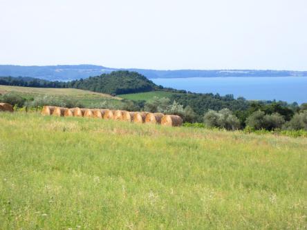 I panorami del lago, da Montefiascone a Bolsena