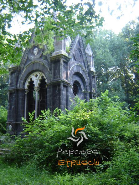 tra gli alberi monumentali del bosco del Sasseto con Percorsi Etruschi