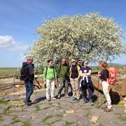 Dove la Storia incontra la Natura, il parco di Vulci