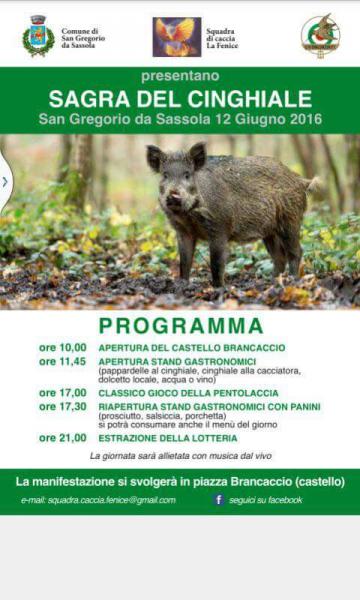 Sagra del cinghiale