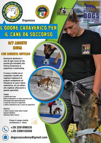 L'odore cadaverico per il cane da soccorso
