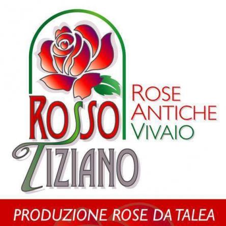 Terza Festa delle Rose