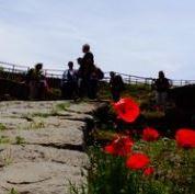 Dove la storia incontra la natura: il parco di Vulci
