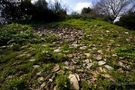 Salita al Monte dei Cocci e Porticus Aemilia