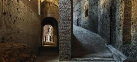 Scavi e restauri tra Foro Romano e Palatino a partire dalla Rampa Imperiale *ingresso gratuito