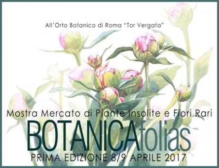 BOTANICAfolias