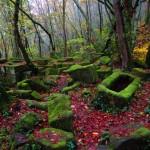 Gli altari dimenticati di Bomarzo