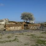 Vulci la grande: la natura e la storia
