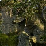 I segreti del Sacro Bosco di Bomarzo