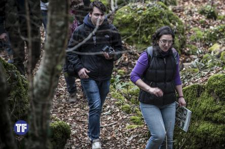 Pasquetta al Bosco del Sasseto di Torre Alfina
