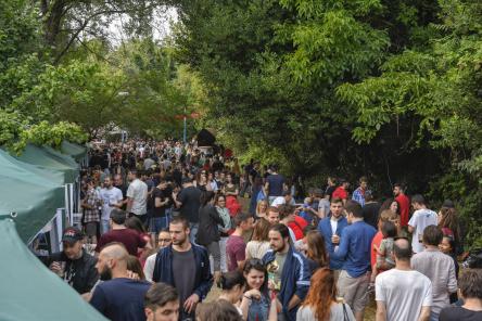 Beer Park Festival