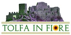 Tolfa in Fiore