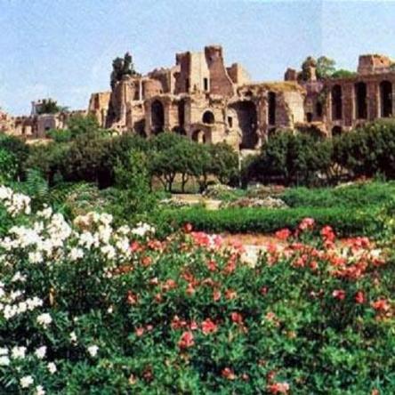 Il Palatino - Visita guidata con biglietto d'ingresso gratuito Roma