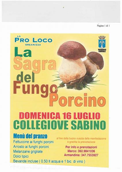 Sagra del fungo porcino