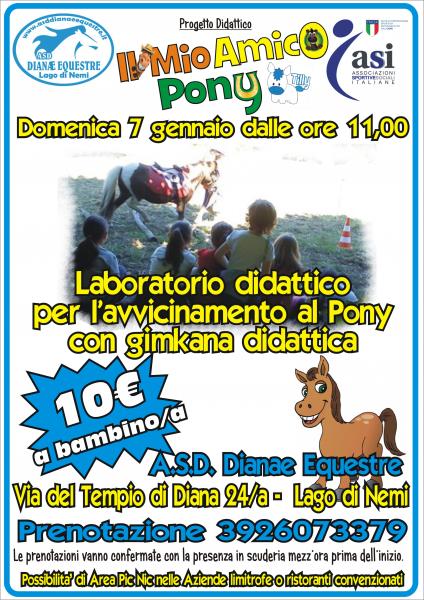 IL MIO AMICO PONY