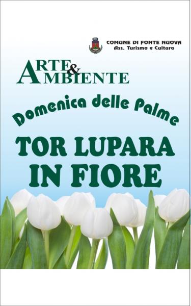 tor lupara il fiore
