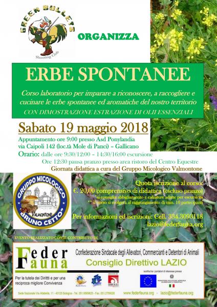 corso riconoscimento erbe spontanee