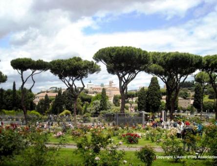 L’Aventino e il roseto comunale