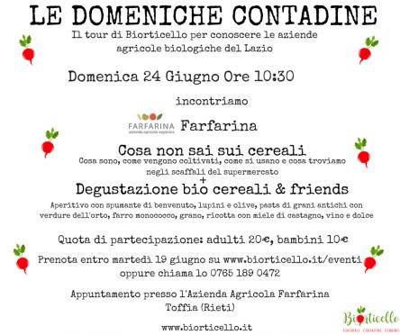 DOMENICHE CONTADINE - Cosa non sai sui cereali
